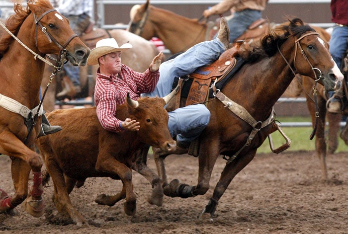 Casey Martin slides from his horse's saddle on to a steer in the steer wrestling on Friday evening, July 16, 2010, at the 26th Annual Frontier Days and Championship Rodeo & Bull- A-Rama in Benton, Pa. Martin would finish with a time of 6.4 second. (Photo: AP)