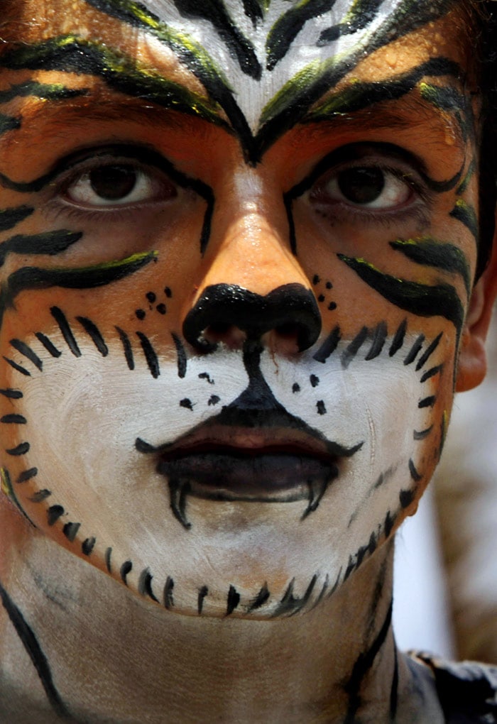 An animal rights activist with his face painted as a tiger protests the exhibition of animals in zoos during a demonstration in Mexico City, on Saturday July 17, 2010. (Photo: AP)