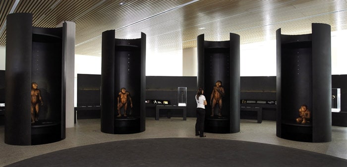 A woman visits the Museum of Human Evolution (MEH) during its inauguration on July 13, 2010 in Burgos, near the archaeological site of Atapuerca. The Museum of Human Evolution in Burgos (MEH) expects to attract around 300,000 visitors each year, a total area of 15,000 m2, distributed between a permanent exhibition space and temporary exhibitions. (Photo: AFP)