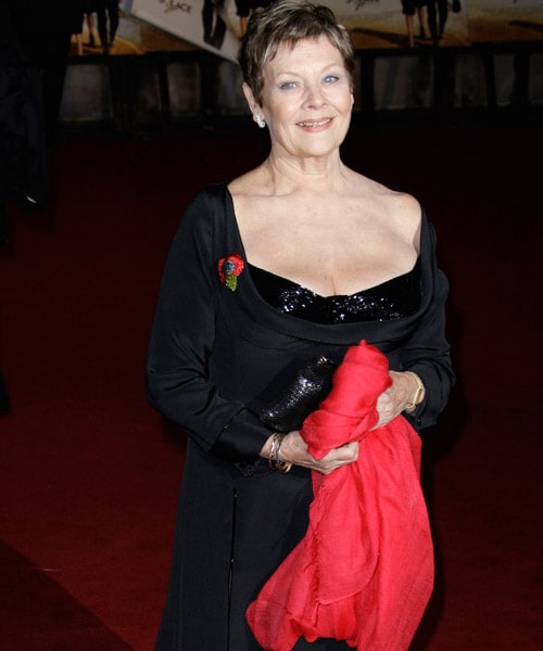 <B>Bond loyalist</b>: Dame Judi Dench, who has played the character of 'M' in a number of Bond films, including this latest one, at the red carpet.