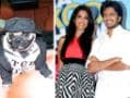 Photo : Fakhru the pug's birthday fit for a star