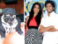 Fakhru the pug's birthday fit for a star