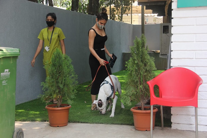 Raveena Tandon, Fatima Sana Shaikh Spotted With Their Pet Pooches