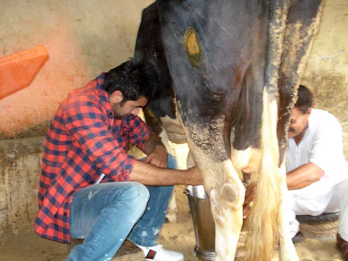 Ranbir caught milking a cow!