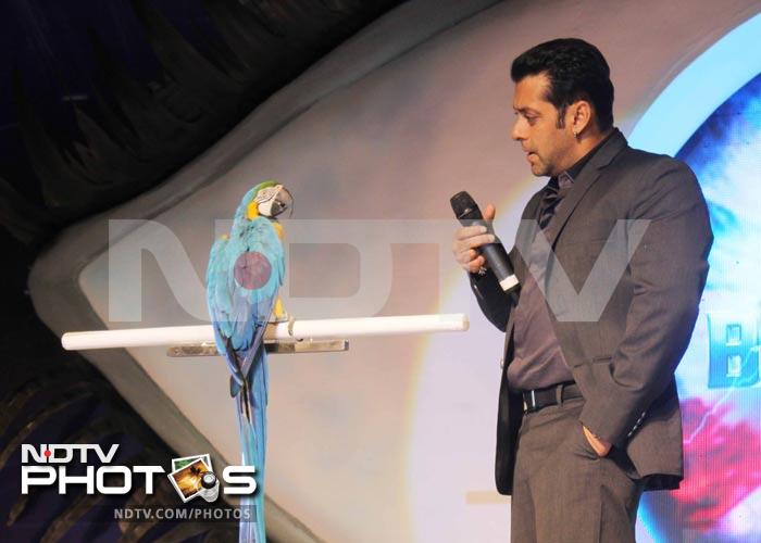 A little birdie told Salman