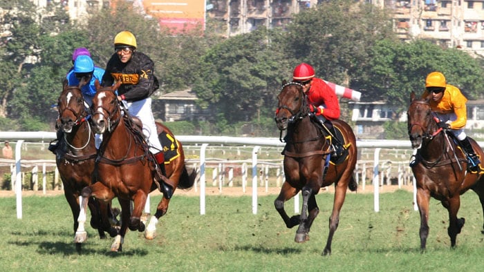 Wearing a <I>Veer</I> jersey, Salman sent the crowd in a tizzy as soon as he came on to the tracks. (Photo: AFP)