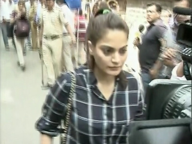 Salman Khan's Appeal Accepted: Actor's Jail Term Suspended