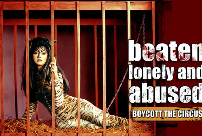 Among Shilpa's charitable ventures, is PETA and she posed as a caged animal to protest cruelty towards animals in the circus.