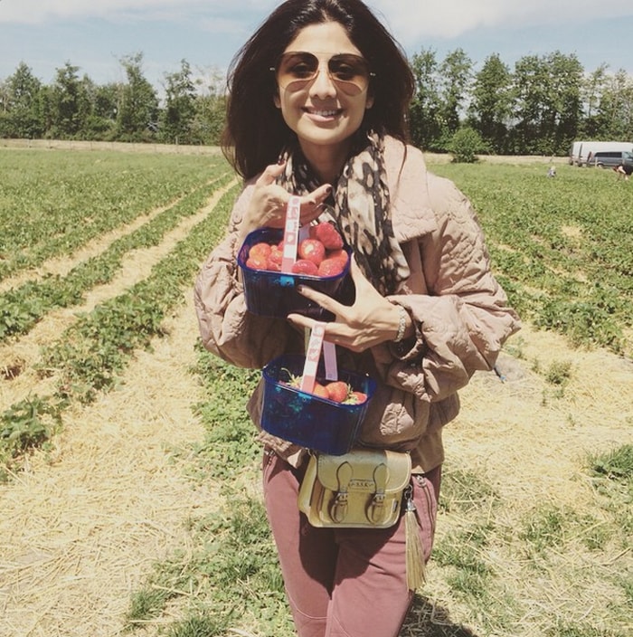 Shilpa, who is currently vacationing with her husband Raj and their son Viaan in London and Europe, also shared pictures showing her strawberry picking. <br><br>This image was posted on Instagram by <a href=" https://instagram.com/officialshilpashetty/" target="_blank" rel="nofollow" >Shilpa Shetty</a>