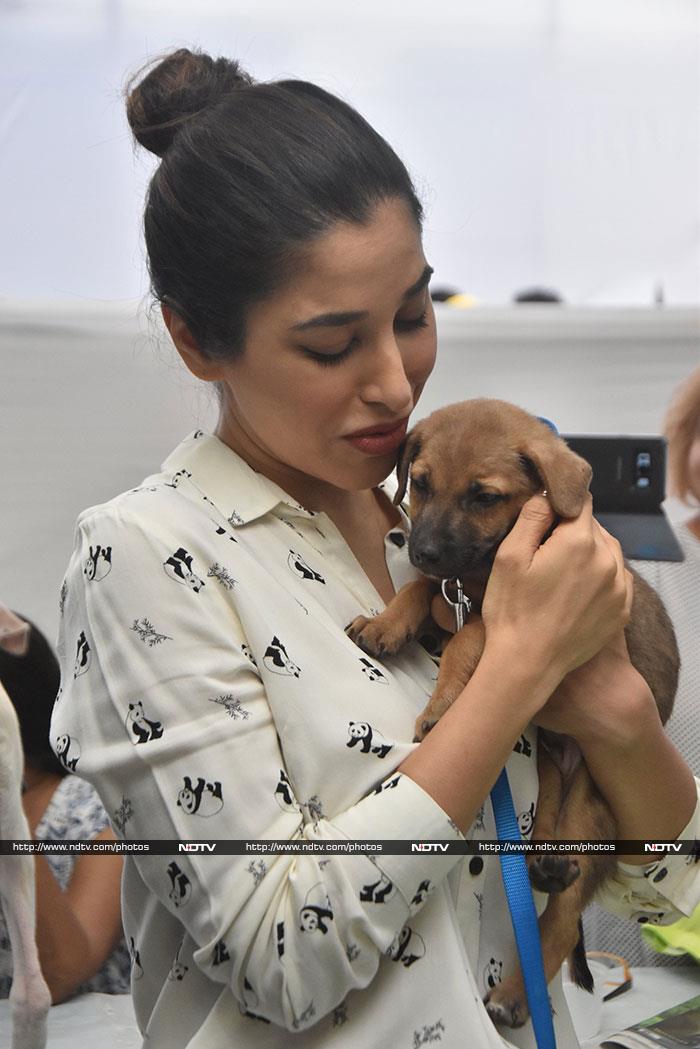 Soha Ali Khan And Kunal Kemmu Attend Pet Adoption Drive