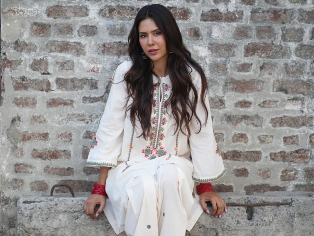 पंजाब की ब्यूटी क्वीन सोनम बाजवा की 20 तस्वीरें