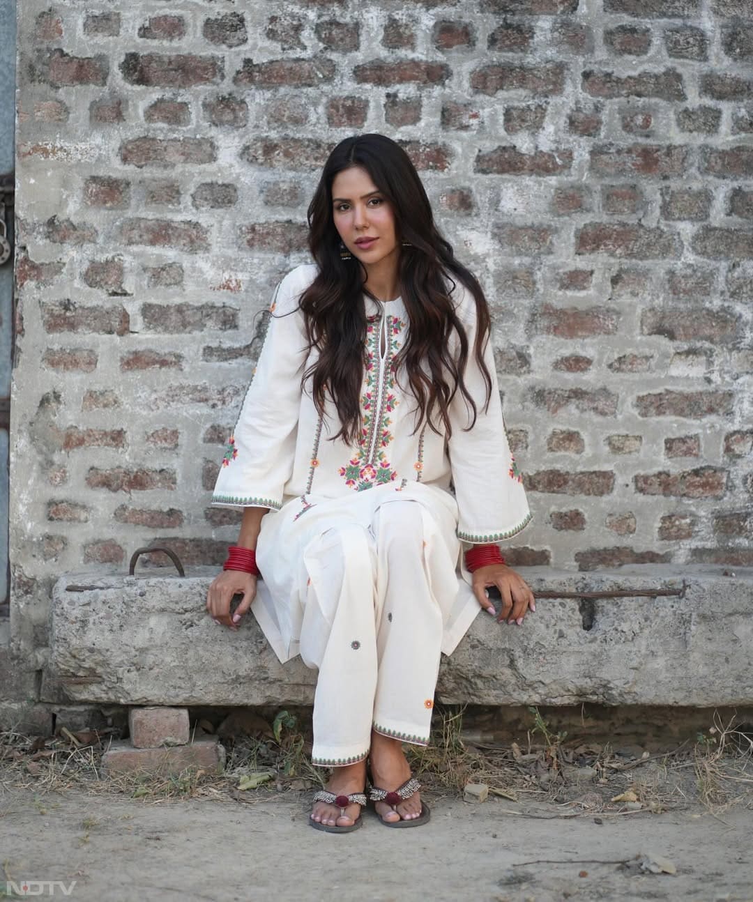 वह पंजाबी फिल्म इंडस्ट्री की सबसे पॉपुलर और पसंदीदा एक्ट्रेसेज़ में से एक हैं.