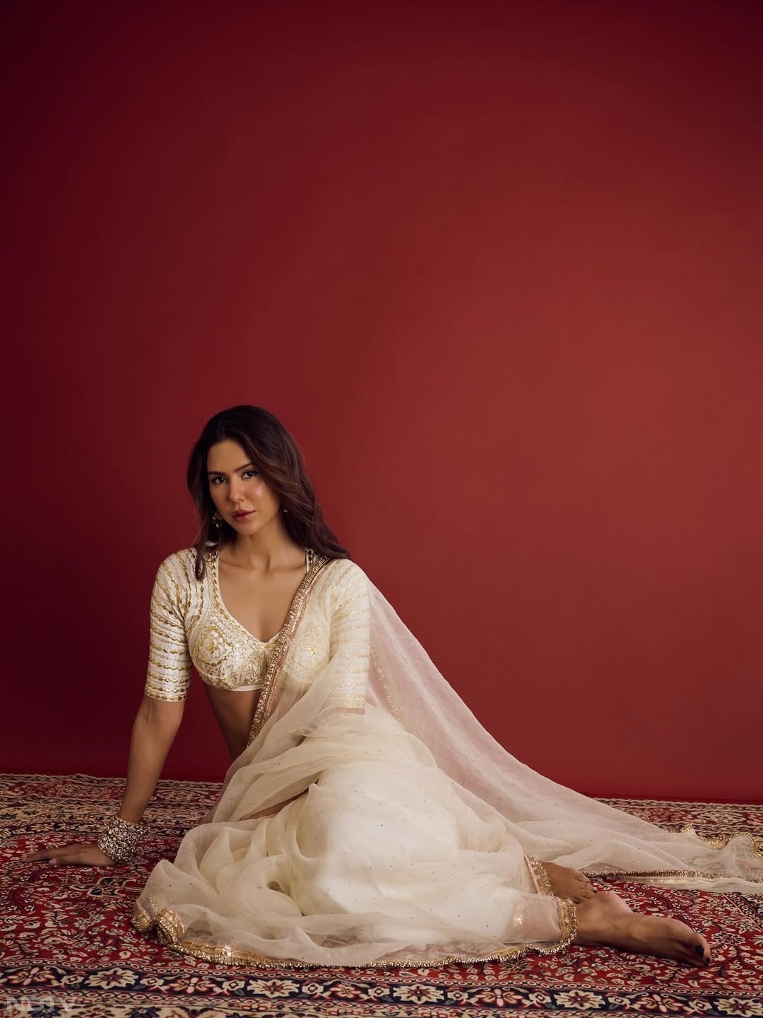 असली पहचान उन्हें सुपरहिट पंजाबी फिल्मों से मिली.