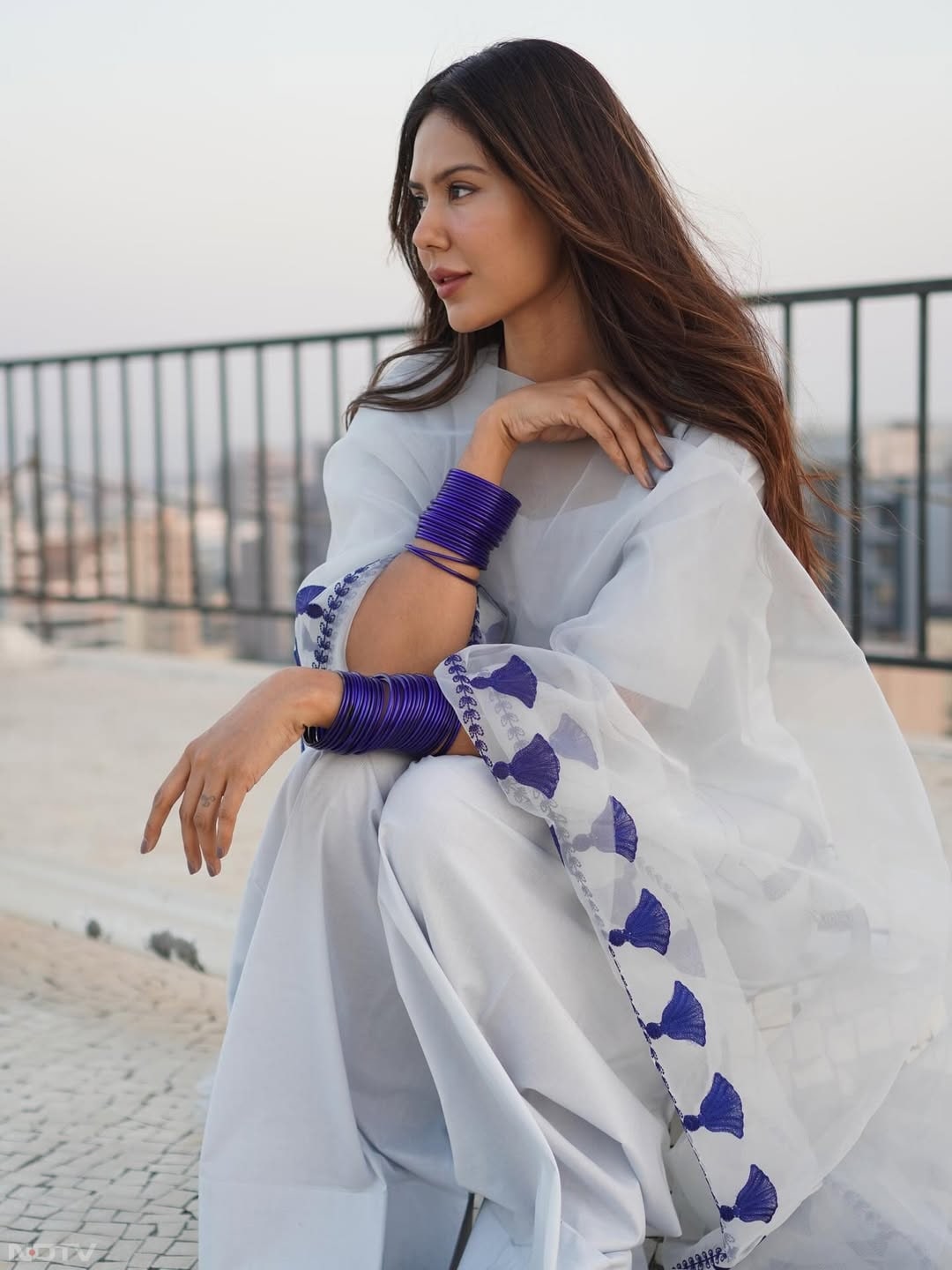 वह पंजाबी और हिंदी दोनों भाषाओं की फिल्में करती हैं.