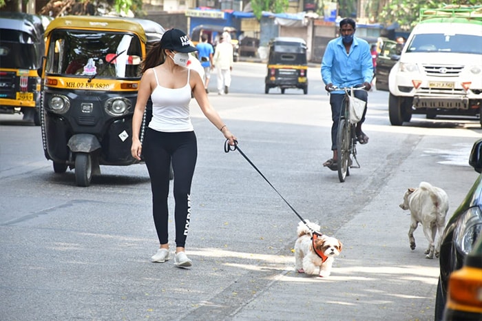 सोफी चौधरी अपने पेट डॉग के साथ आईं नज़र