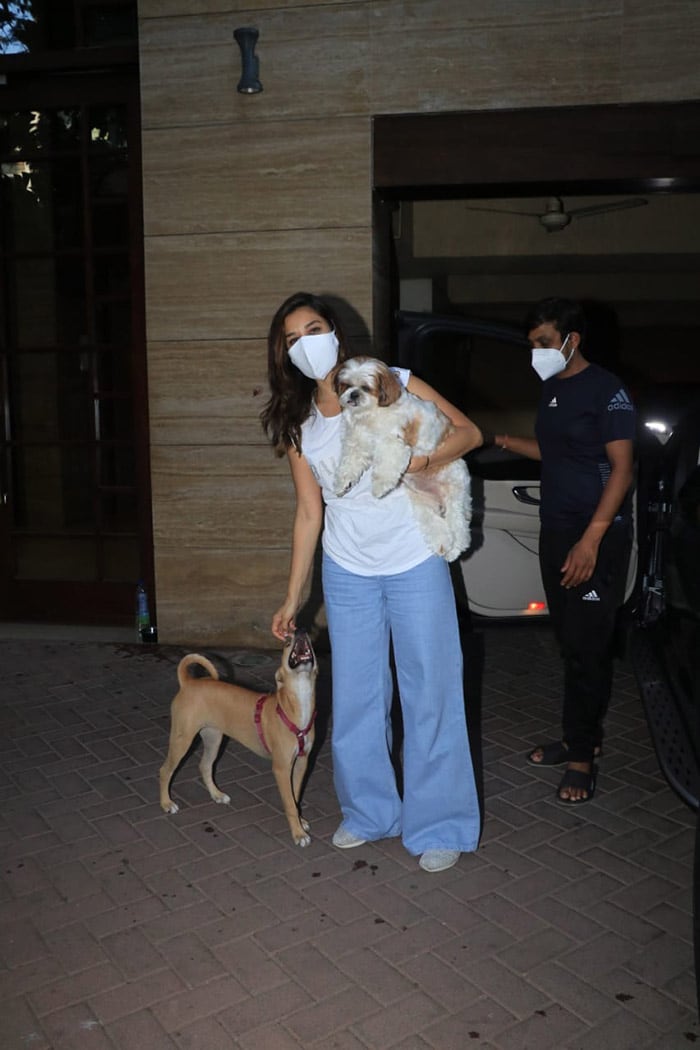 Sophie also posed with her new furry friend for the pictures. She kept her look casual for the day. Sophie wore a loose white top and paired it with light blue flared jeans.