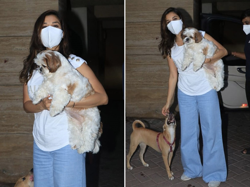 Spotted: Sophie Choudry With Her Adorable Pet Pooch And New Furry Friend