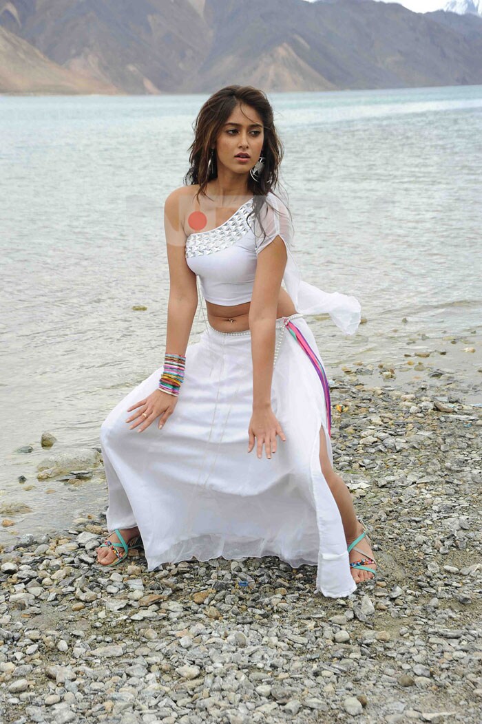 Southern hottie Ileana\'s whopping paycheck