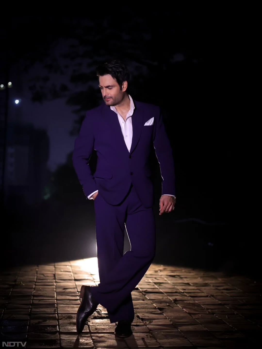 विवियन को लोग प्&zwj;यार से TV का दामाद कहते हैं. viviandsena/Instagram