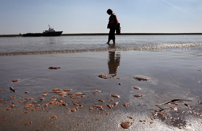 A Greenpeace activist walks along an oil-contaminated beach at the mouth of the Mississippi River on May 17, 2010 in near Venice, Louisiana. BP announced that it is successfully siphoning off 1,000 barrels of oil per day from the Deepwater Horizon oil rig that exploded and sank to the bottom of the Gulf of Mexico on April 22, killing 11 crew members. The amount of oil escaping from the well is a matter of dispute, making the success of BP's effort difficult for regulators to ascertain. (Photo: AFP)