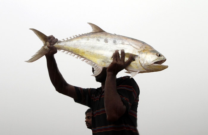 A Sri Lankan man carries his catch at the sea front as it rains in Colombo, Sri Lanka, on Friday, May 21, 2010. Sri Lankan government says that 19 people have died in floods, earthslips and hazards caused by strong winds during a week of heavy rain across the country. (Photo: AP)