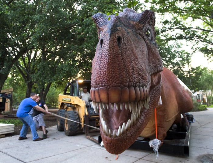 Robby Gilbert, left, and Rickey Crum, of Billings Productions, Inc., guide a life-sized Tyrannosaurus Rex down a walkway as it is unloaded to be put on display at the Houston Zoo on Tuesday, May 18, 2010, in Houston. Beginning Memorial Day weekend and through out the summer months, DINOSAURS! At the Houston Zoo will feature several pre-historic animatronic creatures in a natural setting. (Photo: AP/Houston Chronicle, Brett Coomer)