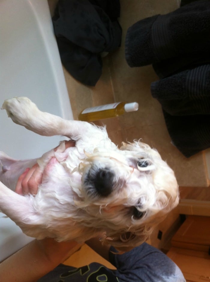 You've got to take a bath, once in a while