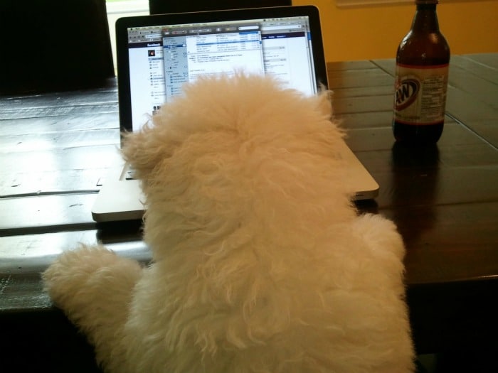 This is Beast checking his mail. His inbox is probably full