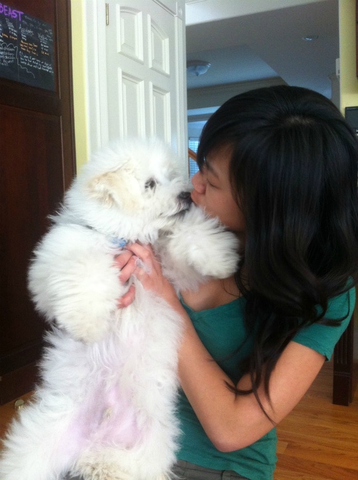 Beast celebrates 100,000 fans with a kiss from Zuckerberg's girlfriend Priscilla Chan.