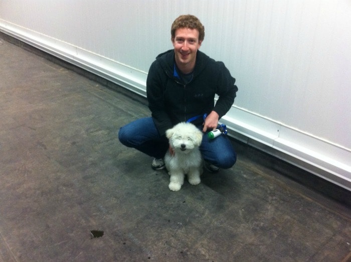 Mark took Beast to the new Facebook data centre and Beast celebrated by peeing on the floor