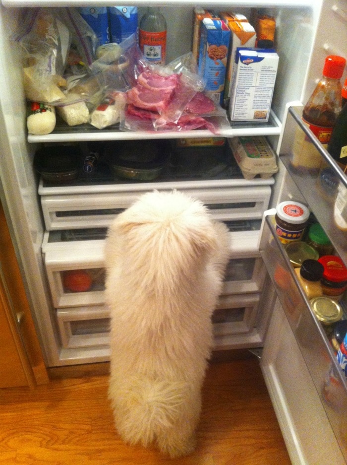 The best place for a midnight snack, when Mark is not looking.