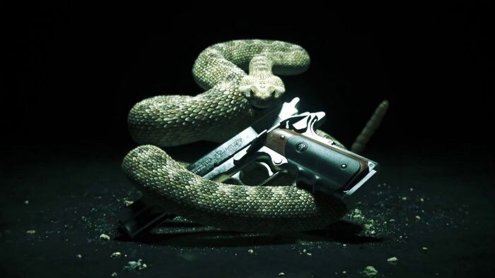 <b>Hitman Absolution</b><br><br>
Agent 47 is about to make his reappearance after a long break in Hitman Absolution. The rumour mill was hard at work predicting the existence of the game and hearsay was confirmed the day the first screen shots were revealed. Hope to see some gameplay in action at E32011.