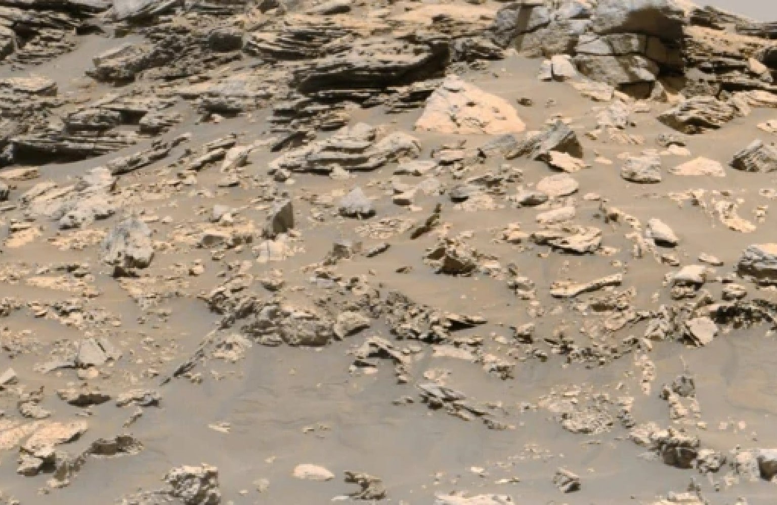मंगल ग्रह पर मिला हाथी जैसा जीव! अपने दावे के साथ एलियन रिसर्चर ने शेयर की तस्‍वीर