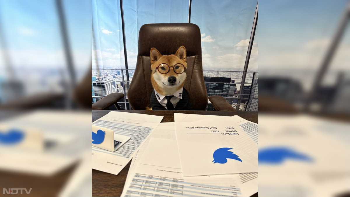 Elon ने अपने ट्विटर हैंडल पर कुर्सी में बैठे अपने पालतू कुत्ते की तस्वीर को पोस्ट किया और लिखा कि वह [कुत्ता] "दूसरे व्यक्ति की तुलना में बहुत बेहतर हैं।" मस्क द्वारा शेयर की गई तस्वीर में उनका शीबा इनू (ब्रीड) का कुत्ता सीईओ की कुर्सी पर बैठा नजर आ रहा है। पालतू कुत्ते को ट्विटर-ब्रांडेड ब्लैक टी-शर्ट पहने हुए देखा जा सकता है, जिस पर CEO लिखा हुआ है। इस डॉग के सामने कुछ डॉक्यूमेंट और एक छोटा लैपटॉप रखा है। (Image Credit: Twitter/ @elonmusk)