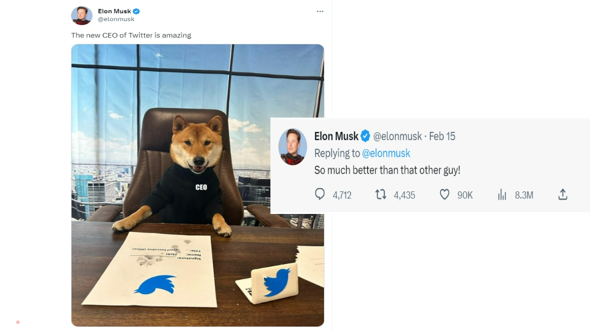 इस फोटो को शेयर करते हुए हुए मस्क ने लिखा, "ट्विटर का नया सीईओ अद्भुत है।" इसके बाद उन्होंने एक अन्य फॉलो-अप ट्वीट में लिखा, "उस दूसरे आदमी से बहुत बेहतर!" इसके बाद उन्होंने एक और ट्वीट किया, जिसमें लिखा था, "यह नंबरों के साथ बहुत अच्छा है!" इसके बाद एक और ट्वीट किया और लिखा, "और [Floki के पास] स्टाइल है"