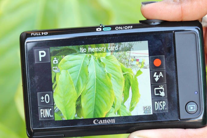 The macro mode on the IXUS 1100HS allows for extreme close-up photography.