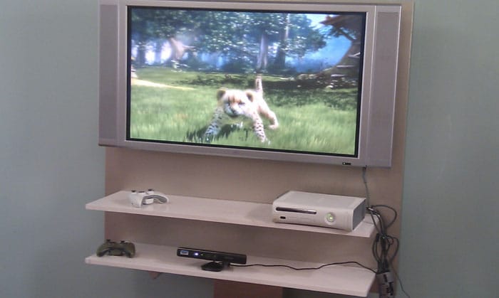 Have a tiger, cheetah or a panther as your pet in Microsoft's Kinectimals- A virtual pet game for Kinect. (Photo: Sameer Mitha)