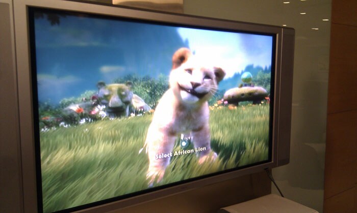 Kinectimals: We know you've always wanted a pet. Here's your chance to own your very own virtual pet who responds to your every gesture and action. (Photo: Sameer Mitha)