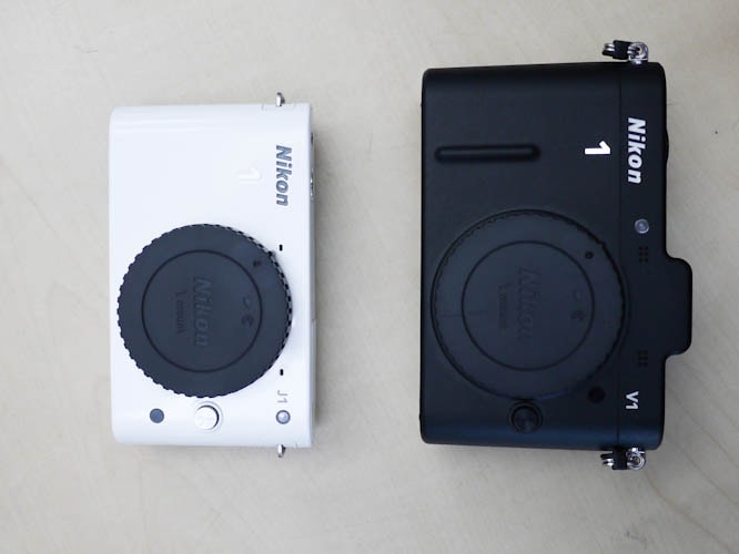 The body of Nikon V1 is comparatively larger than the Nikon J1.