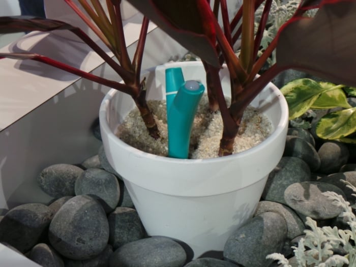 A new sensor that can alert humans to the needs of their household plants - like the amount of sunlight or water required. (Image credit: Rajiv Makhni)
