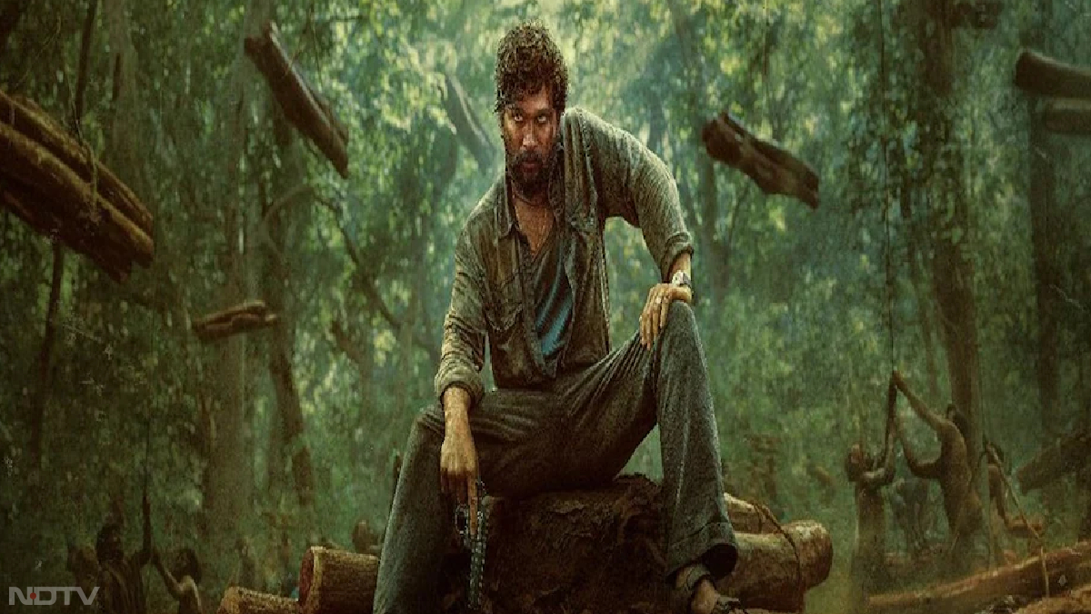 पुष्पा: द राइज उन फ‍िल्‍मों में शामिल है, जिसने दर्शकों के बीच काफी लोकप्रियता पाई। अल्लू अर्जुन ने पुष्‍पा के किरदार से लोगों को अपना फैन बना दिया। फ‍िल्‍म का दूसरा पार्ट भी रिलीज होने वाला है। अल्लू अर्जुन को पुष्‍पा के लिए सर्वश्रेष्ठ अभिनेता का राष्‍ट्रीय पुरस्‍कार दिया जाएगा। फ‍िल्‍म को बेस्‍ट म्‍यूजिक डायरेक्‍शन का अवॉर्ड भी मिला है। यह फ‍िल्‍म Amazon Prime Video पर देखी जा सकती है।
