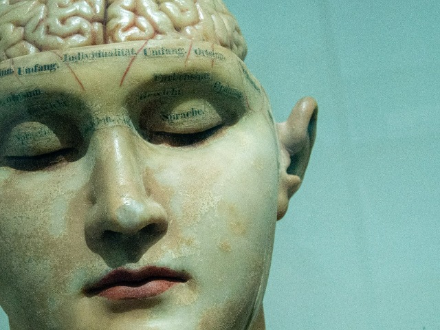 Photo : आपके दिमाग में क्‍या चल रहा, अब लग जाएगा पता…वैज्ञानिकों ने डेवलप की दिमाग को पढ़ने की तकनीक!