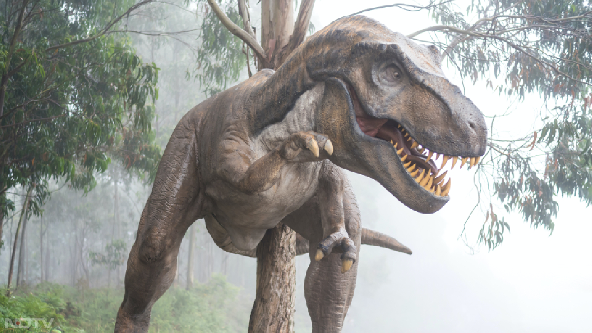 BioEssays जर्नल में इससे जुड़ी जानकारी पब्लिश हुई है। इसमें कहा गया है कि 10 करोड़ साल पहले डायनासोरों ने स्&zwj;तनधारियों पर विकास करने का जो दबाव बनाया, उसने उनकी उम्र पर असर दिखाया।