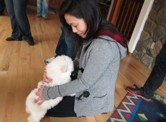 Beast's "Personal Interests" are listed as "cuddling, loving and eating." (Photo:www.facebook.com/beast.the.dog)