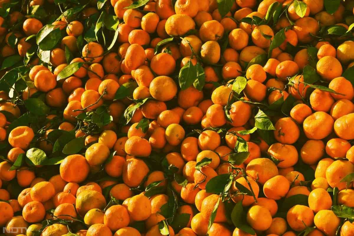 à¤à¤¿à¤¨à¥à¤¨à¥ à¤à¤°à¤¾à¤¬ à¤à¥à¤²à¥à¤¸à¥à¤à¥à¤°à¥à¤² à¤à¥ à¤ªà¥à¤°à¤­à¤¾à¤µ à¤à¥ à¤à¤® à¤à¤°à¤¨à¥ à¤®à¥à¤ à¤®à¤¦à¤¦ à¤à¤° à¤¸à¤à¤¤à¤¾ à¤¹à¥. Pic Credit- Pexels