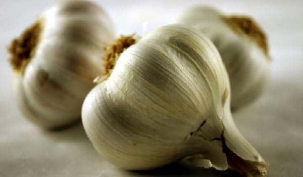 Garlic benefits the immune and cardiovascular system and regular prescription prevent hardening of the arteries.