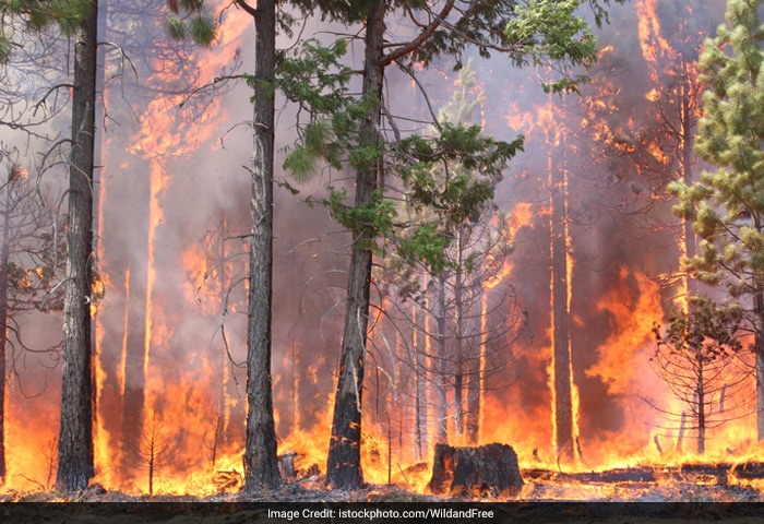 Formaldehyde is an intermediate in the oxidation of methane as well as other carbon compounds, e.g. forest fires, in automobile exhaust, and in tobacco smoke. Its exposure causes irritation to the eyes, nose and may cause allergies in some people.