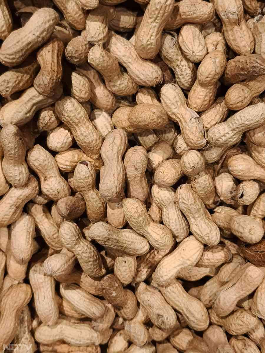 à¤®à¥à¤à¤à¤«à¤²à¥ à¤®à¥à¤ à¤«à¤¾à¤à¤¬à¤° à¤¹à¥à¤¤à¤¾ à¤¹à¥ à¤à¥ à¤ªà¤¾à¤à¤¨ à¤à¥ à¤¦à¥à¤°à¥à¤¸à¥à¤¤ à¤à¤°à¤¤à¤¾ à¤¹à¥ à¤à¤° à¤à¤¬à¥à¤ à¤¸à¥ à¤°à¤¾à¤¹à¤¤ à¤¦à¤¿à¤²à¤¾ à¤¸à¤à¤¤à¤¾ à¤¹à¥. Pic Credit- Pexels