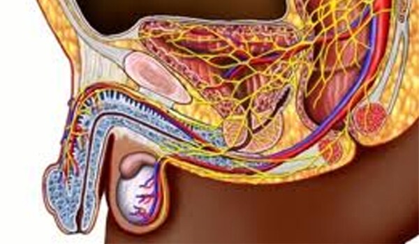 Pelvic surgery that involved trauma to pelvic nerves, which are responsible for orgasm, also lead to delayed ejaculation.
