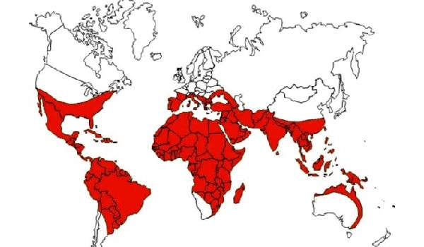 Each year tens of millions of people are affected by the disease. The highest incidence of dengue is in Southeast Asia, India and the American tropics where Aedes aegypti can be found.
